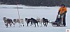 P1090212_cr_resultat.jpg P1090212_cr_resultat.jpg