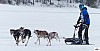 P1090213_cr_resultat.jpg P1090213_cr_resultat.jpg
