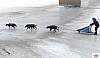 P1090217_cr_resultat.jpg P1090217_cr_resultat.jpg