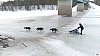 P1090217_resultat.jpg P1090217_resultat.jpg