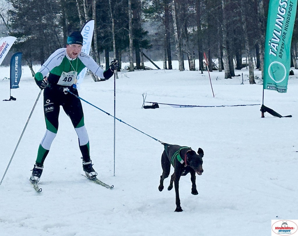 IMG_5168_resultat.jpg