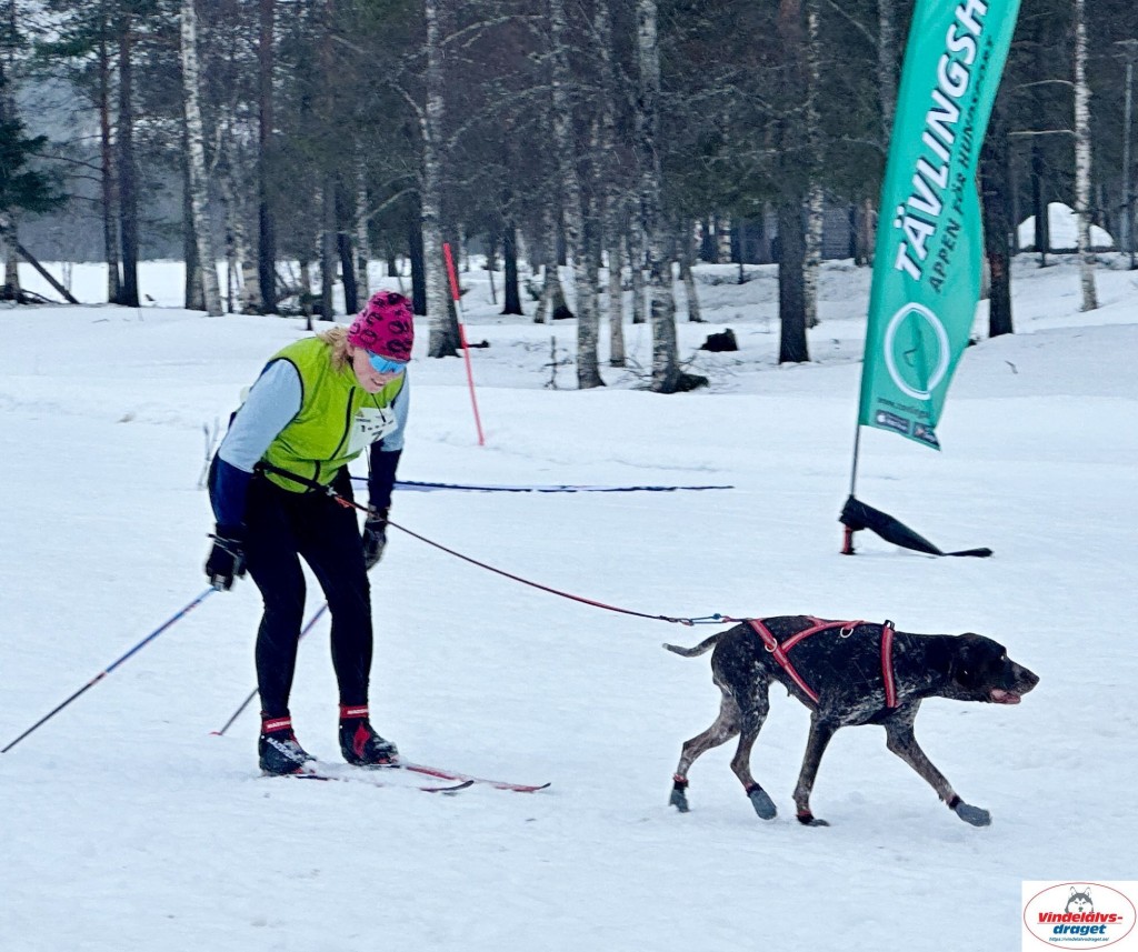 IMG_5170_resultat.jpg