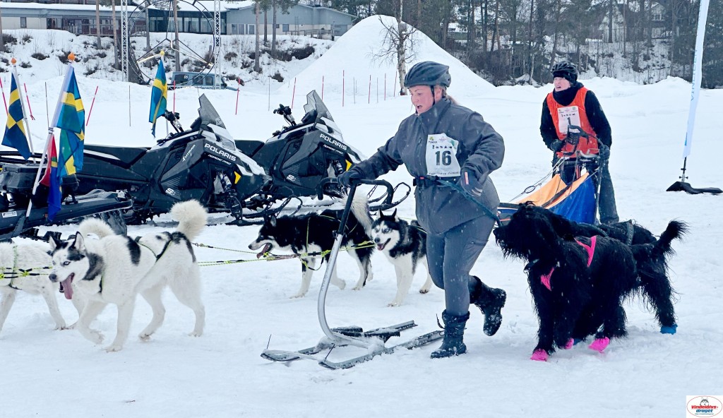 IMG_5176_resultat.jpg