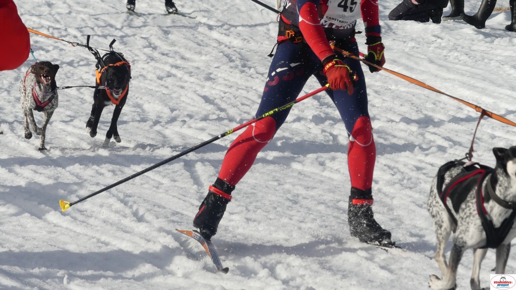 P1100303_resultat.jpg