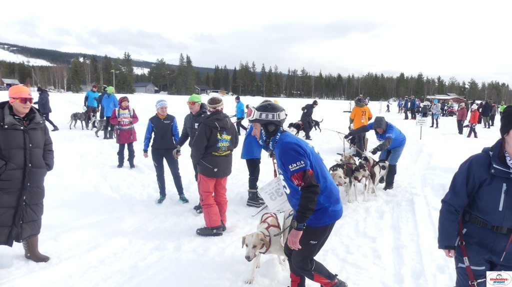 P1100326_resultat.jpg