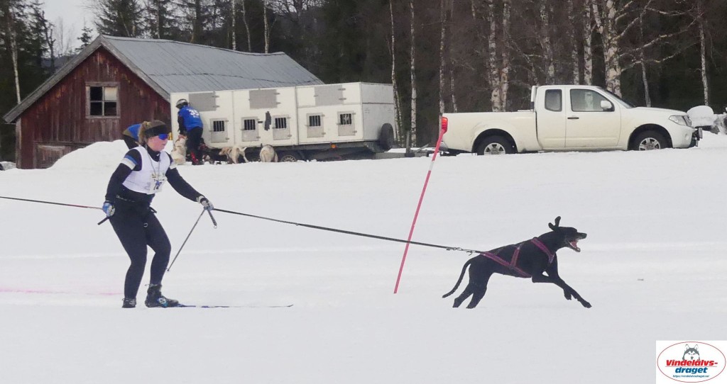 P1100330_resultat.jpg