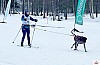 IMG_5164_resultat.jpg IMG_5164_resultat.jpg