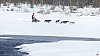 P1100311_resultat.jpg P1100311_resultat.jpg