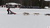 P1100329_resultat.jpg P1100329_resultat.jpg