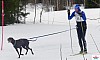 P1100334_resultat.jpg P1100334_resultat.jpg