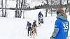 P1100384_resultat.jpg P1100384_resultat.jpg