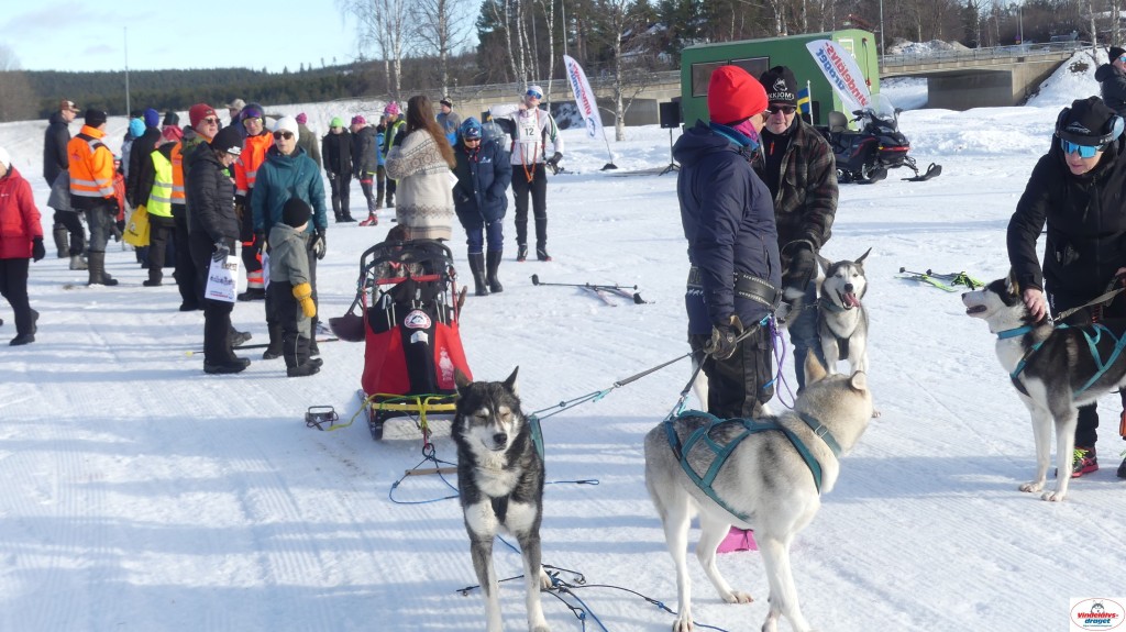 P1100470_resultat.jpg