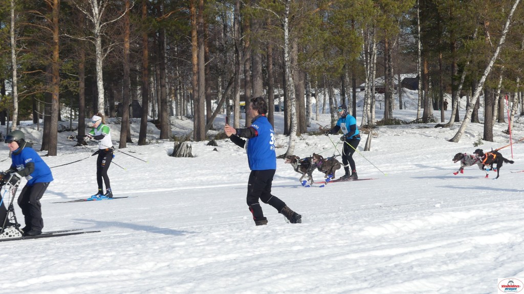 P1100475_resultat.jpg
