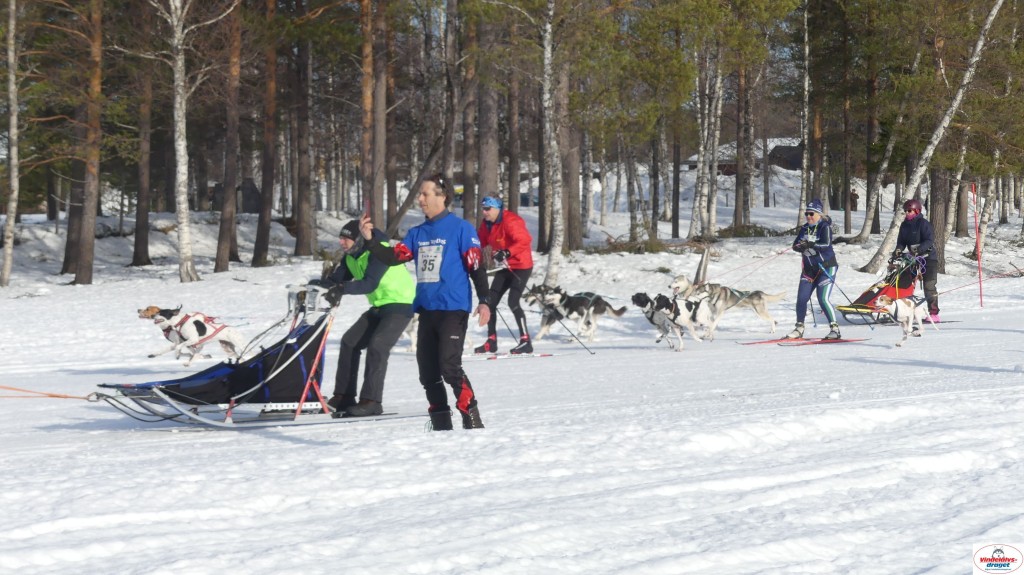 P1100479_resultat.jpg
