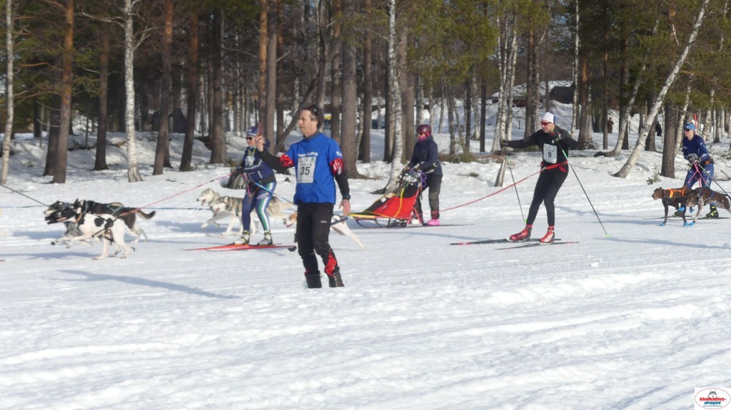 P1100480_resultat.jpg