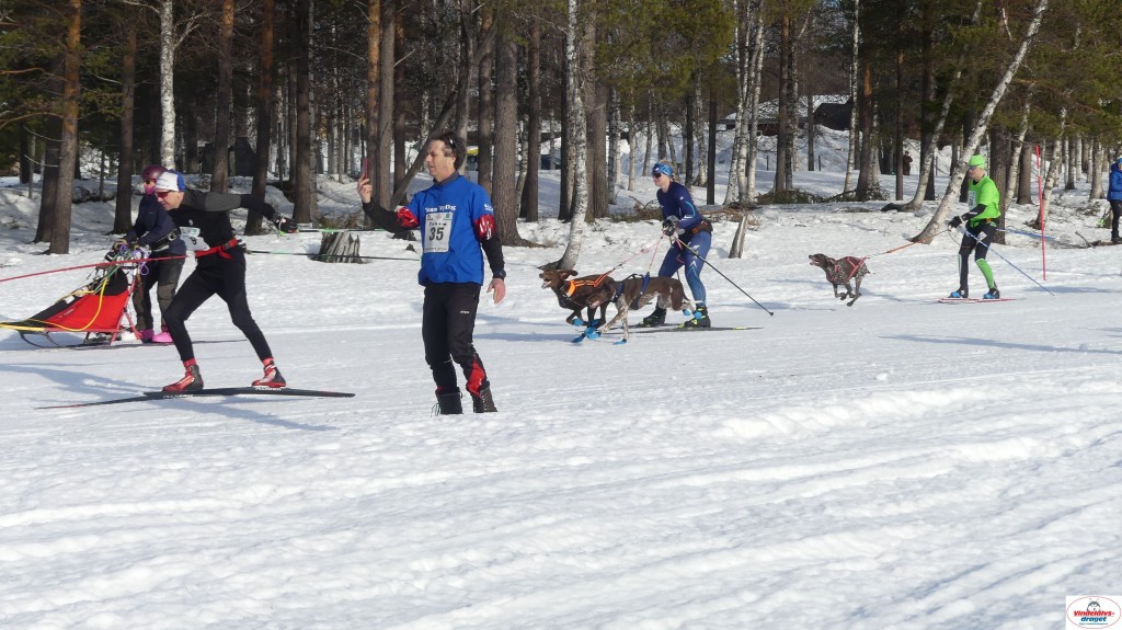 P1100481_resultat.jpg