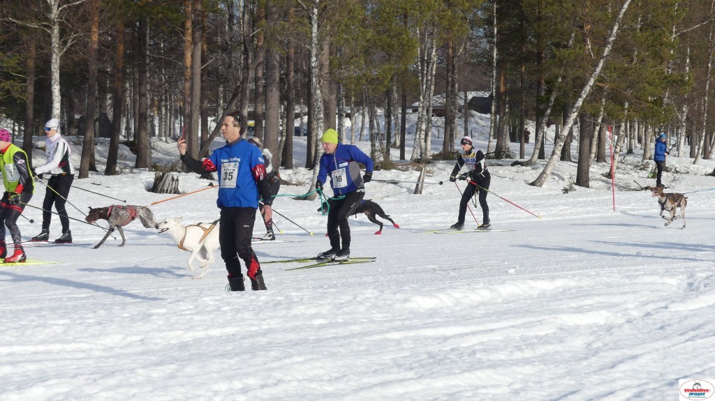 P1100485_resultat.jpg
