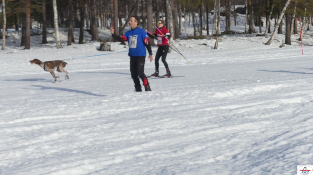 P1100487_resultat.jpg