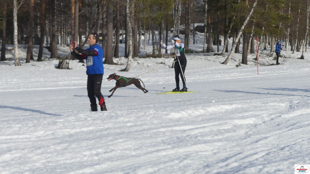 P1100489_resultat.jpg