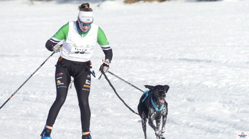 P1100496_resultat.jpg