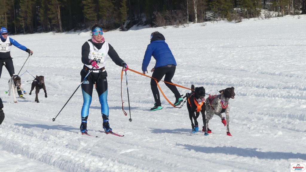 P1100503_resultat.jpg