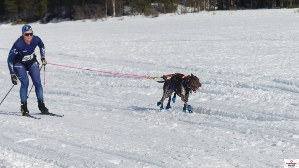 P1100506_resultat.jpg
