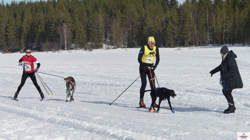 P1100517_resultat.jpg