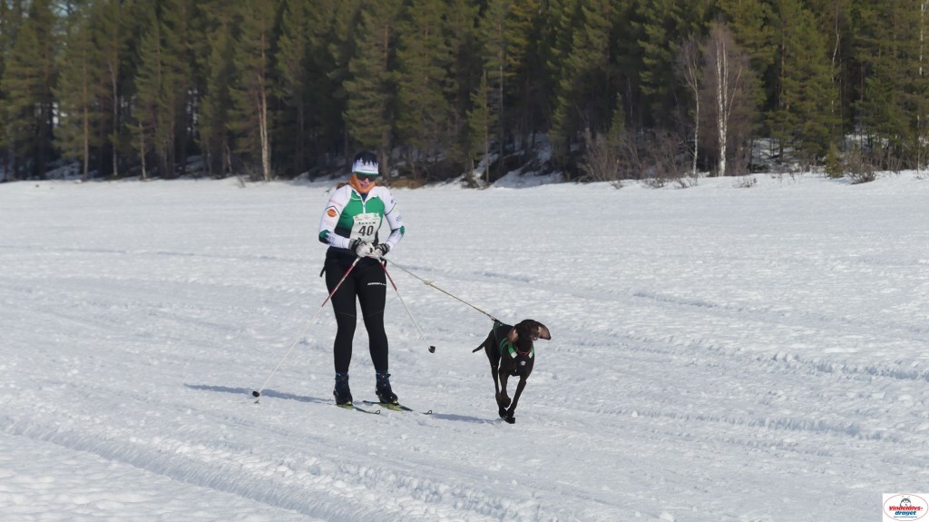 P1100518_resultat.jpg