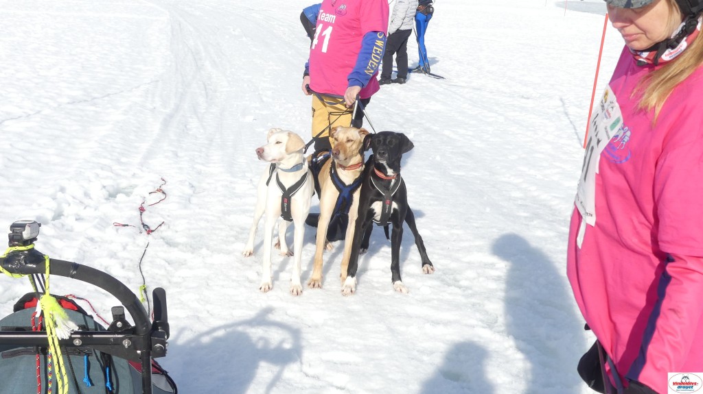 P1100525_resultat.jpg