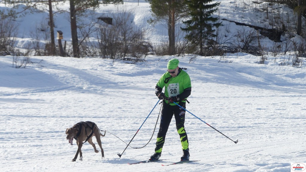 P1100529_resultat.jpg