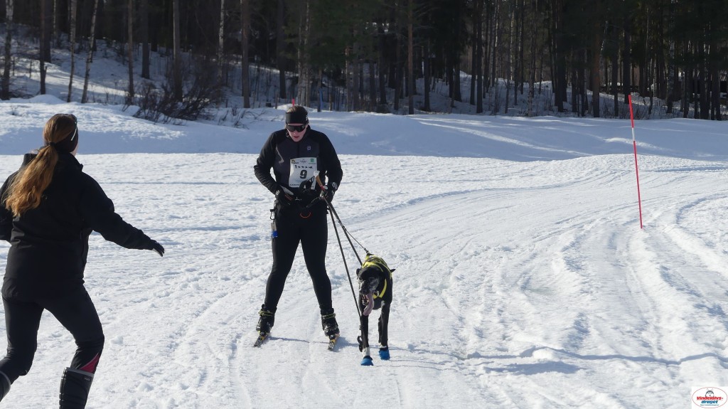 P1100538_resultat.jpg
