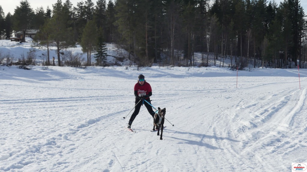 P1100544_resultat.jpg