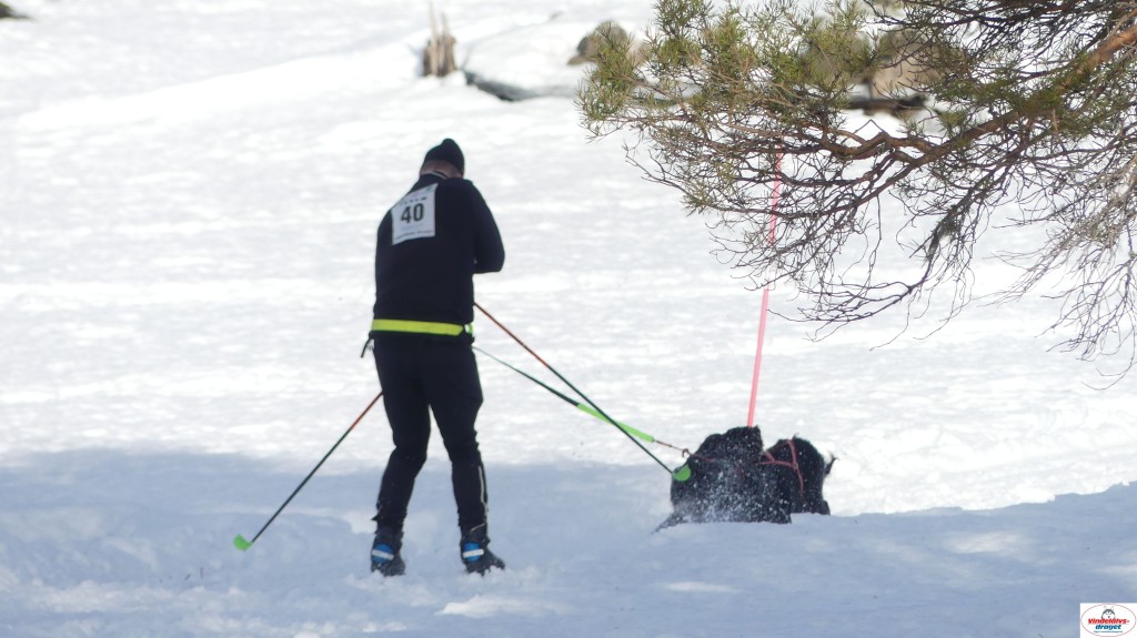 P1100558_resultat.jpg