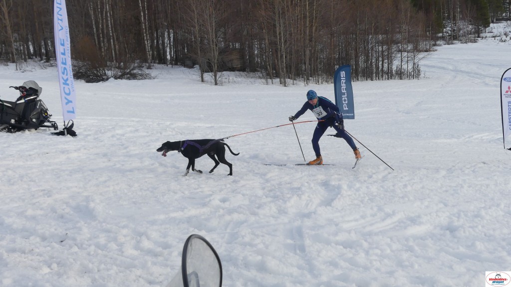 P1100587_resultat.jpg