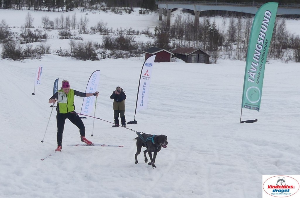 P1100594_resultat.jpg