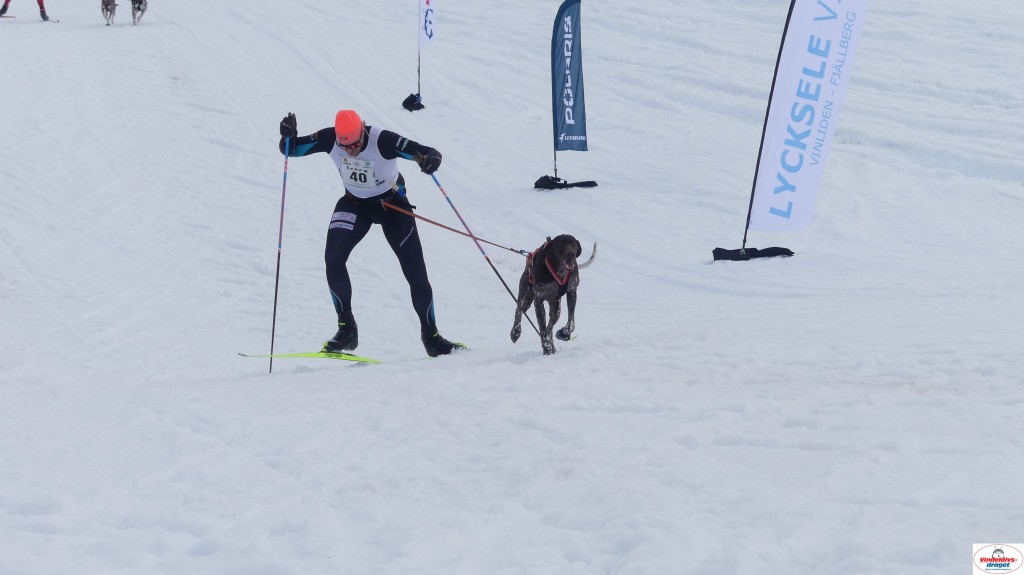 P1100595_resultat.jpg