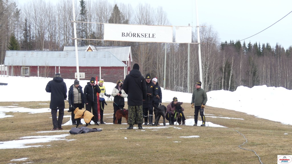 P1100599_resultat.jpg