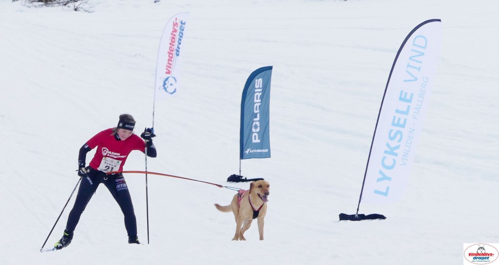 P1100605_resultat.jpg