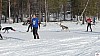 P1100486_resultat.jpg