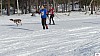P1100487_resultat.jpg