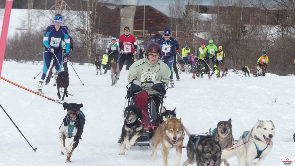P1100629_resultat.jpg