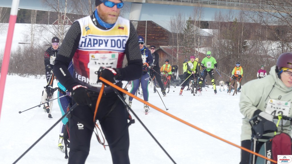 P1100630_resultat.jpg