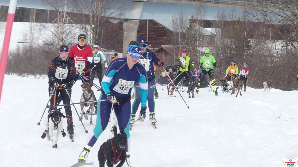 P1100631_resultat.jpg