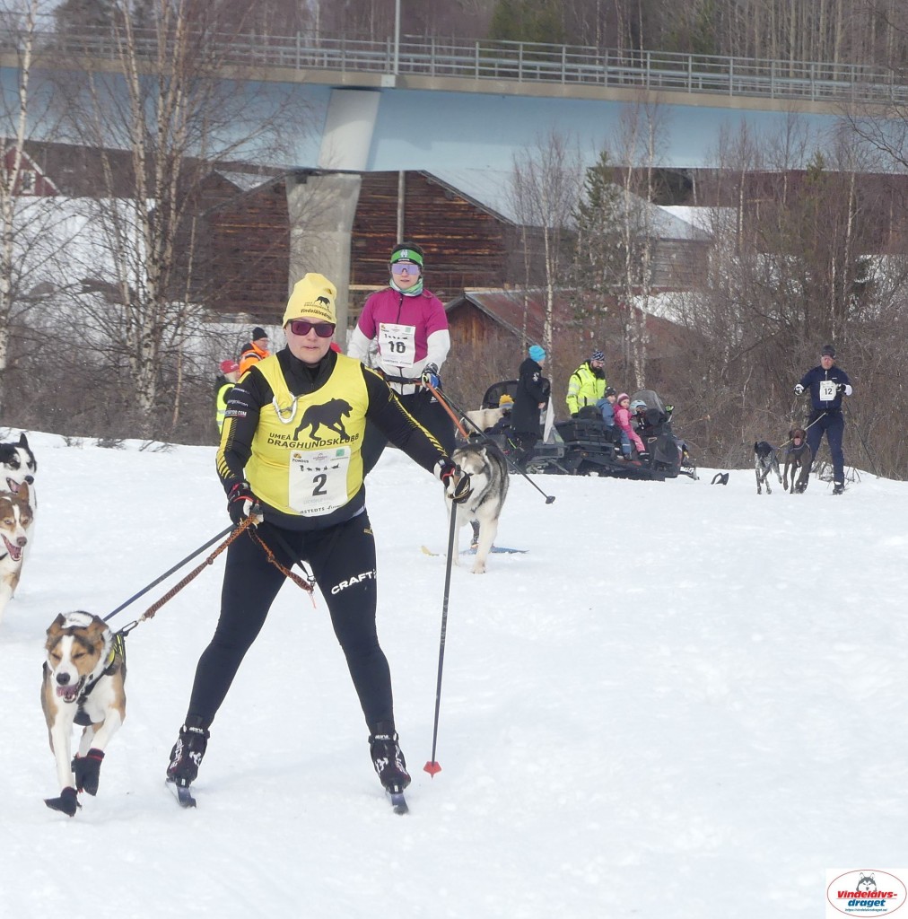 P1100642_resultat.jpg
