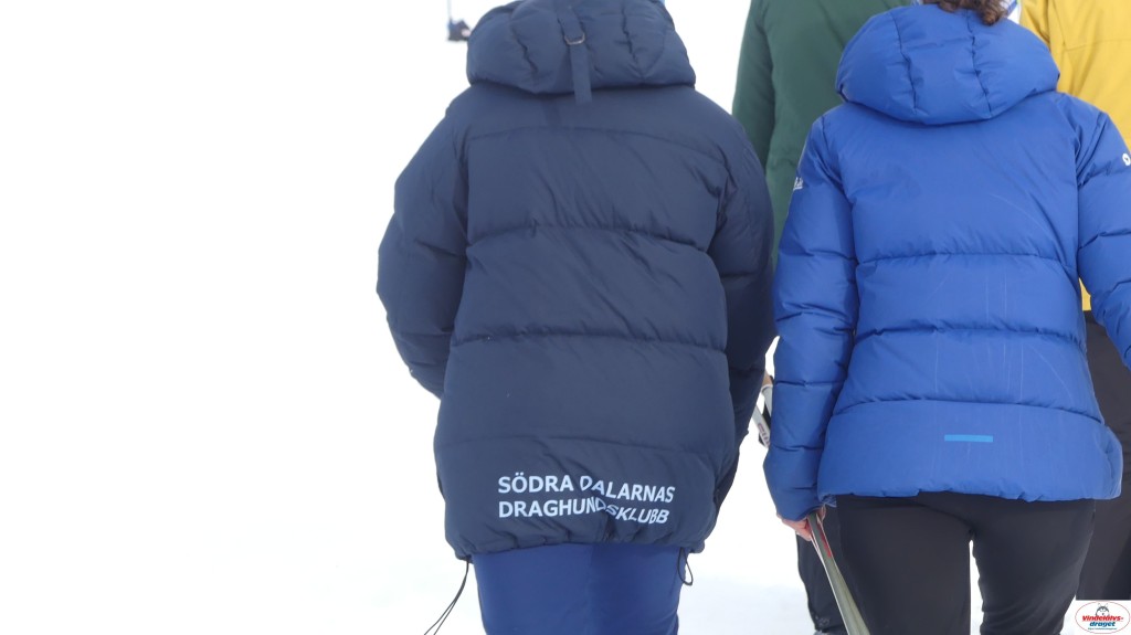 P1100649_resultat.jpg