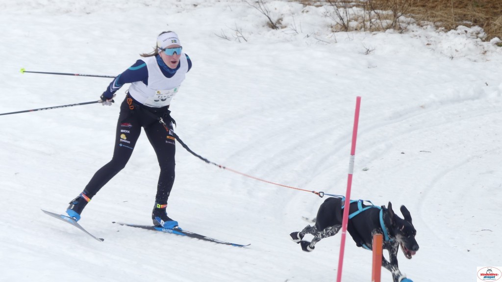 P1100654_resultat.jpg