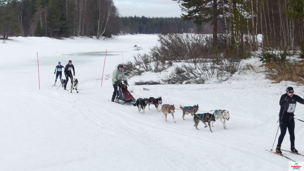 P1100664_resultat.jpg