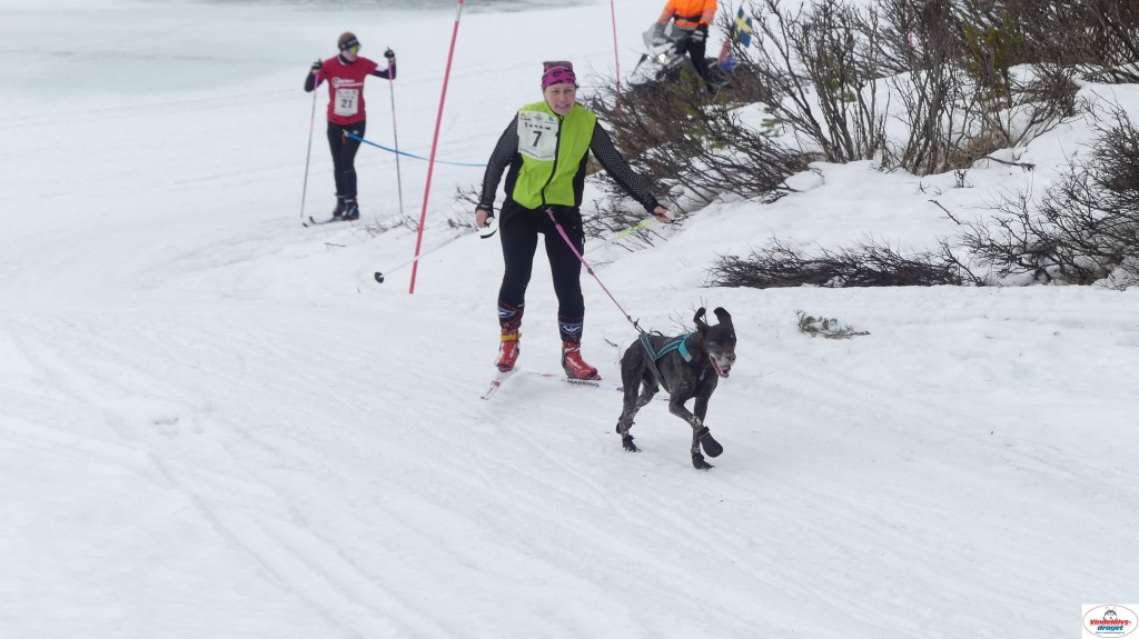 P1100668_resultat.jpg