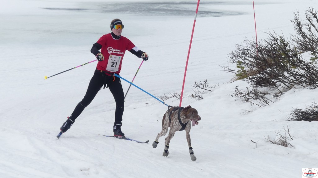 P1100669_resultat.jpg