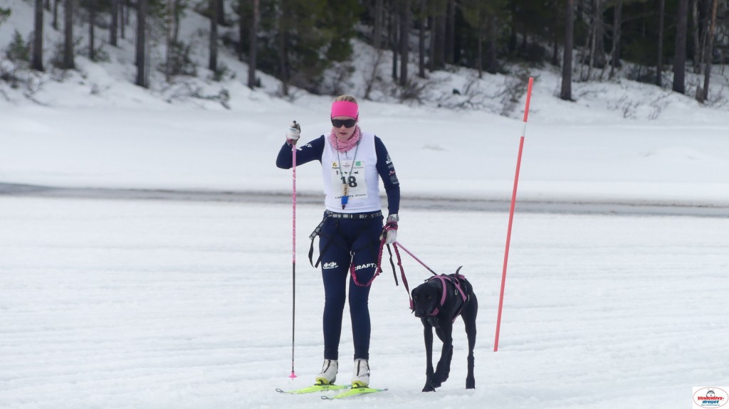 P1100677_resultat.jpg